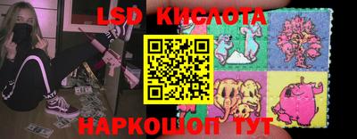 индика Брянск