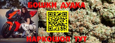 индика Брянск