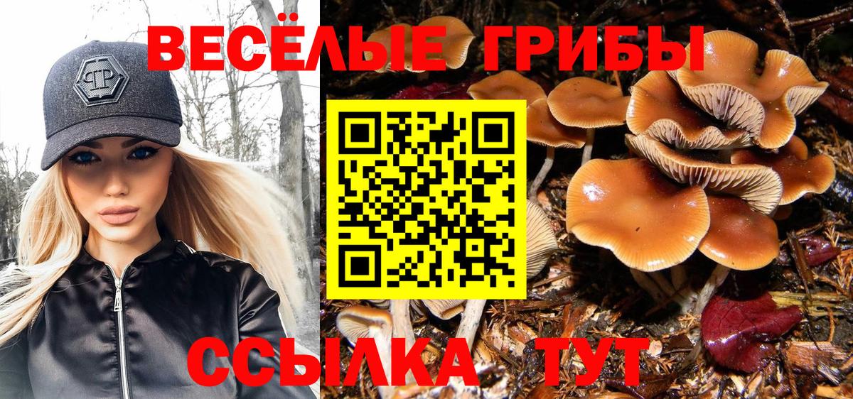 как найти наркотики  Вход с VPN  Великие Луки  Псилоцибиновые грибы ЛСД 